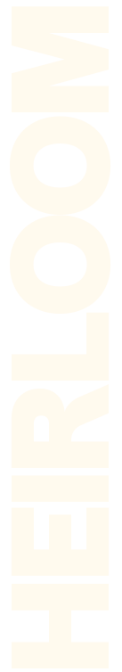 logo vertical